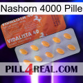 Rhino 4000 Pill 43